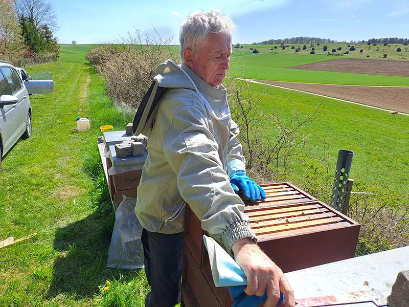 Bienen 2026 Bühl